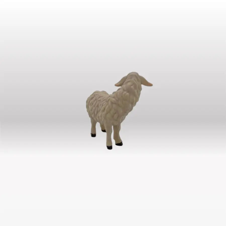 Schaf schauend von Heimatkrippe-3