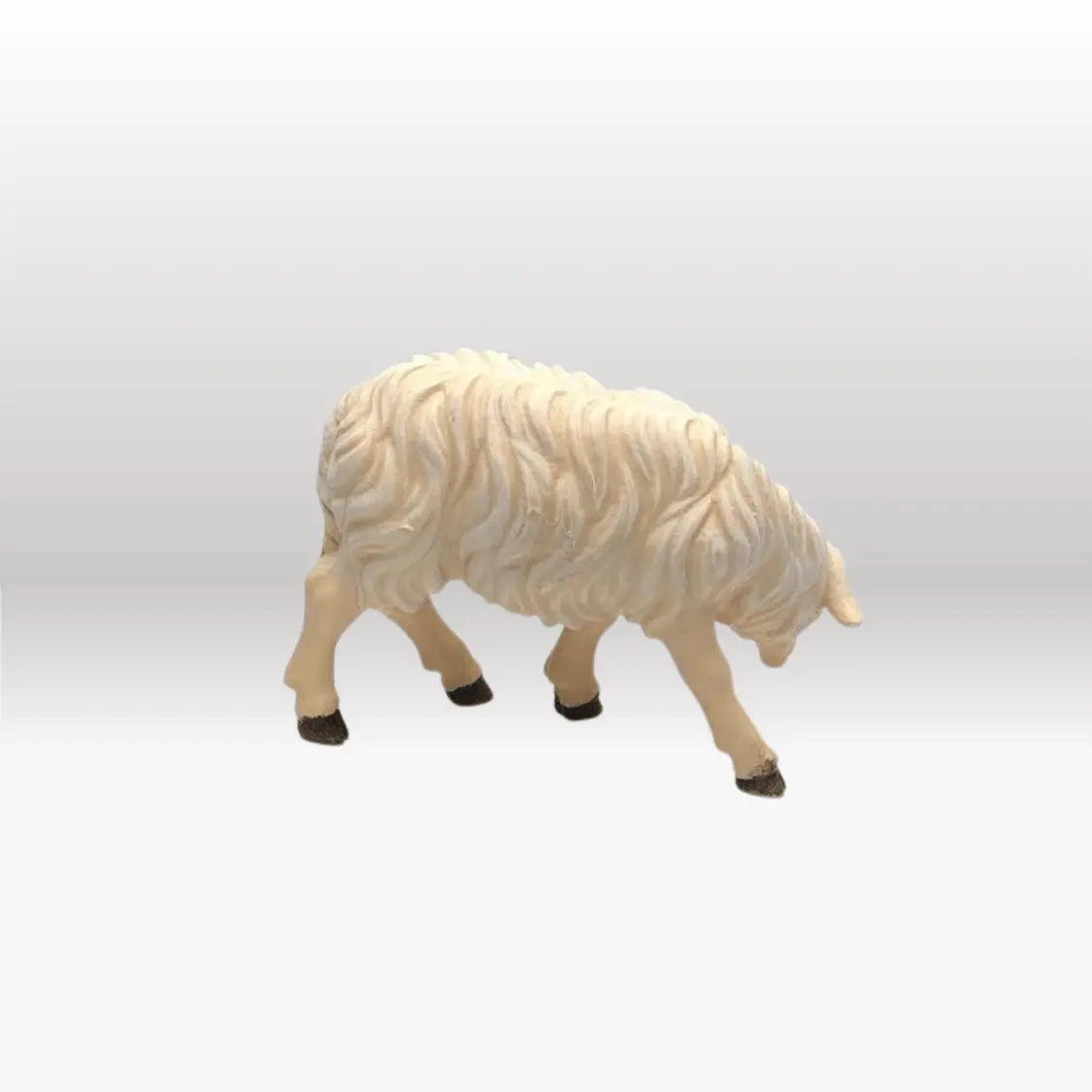 Schaf fressend linksschauend von Kostner-2