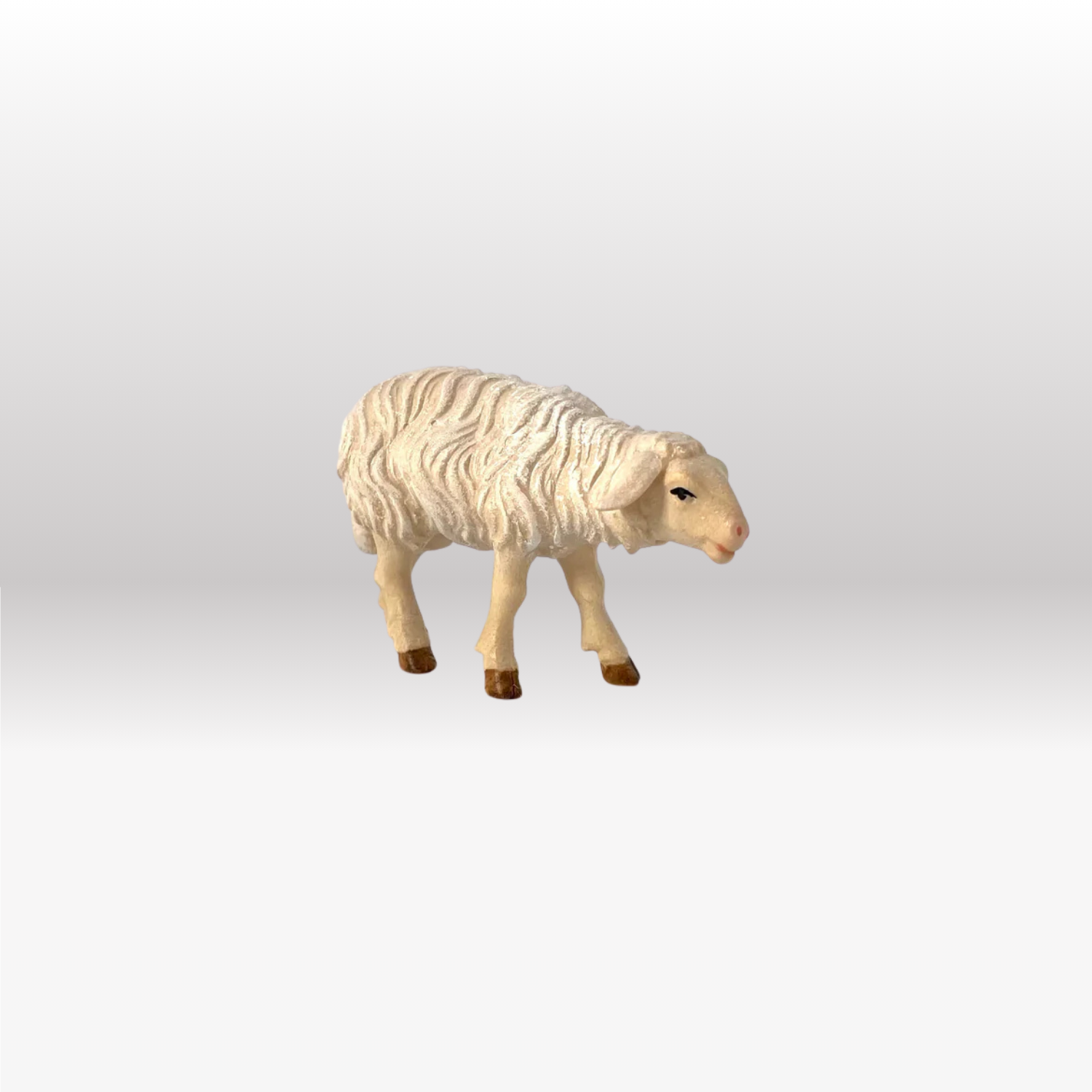 Schaf stehend vorwärtsschauend von Kostner-2