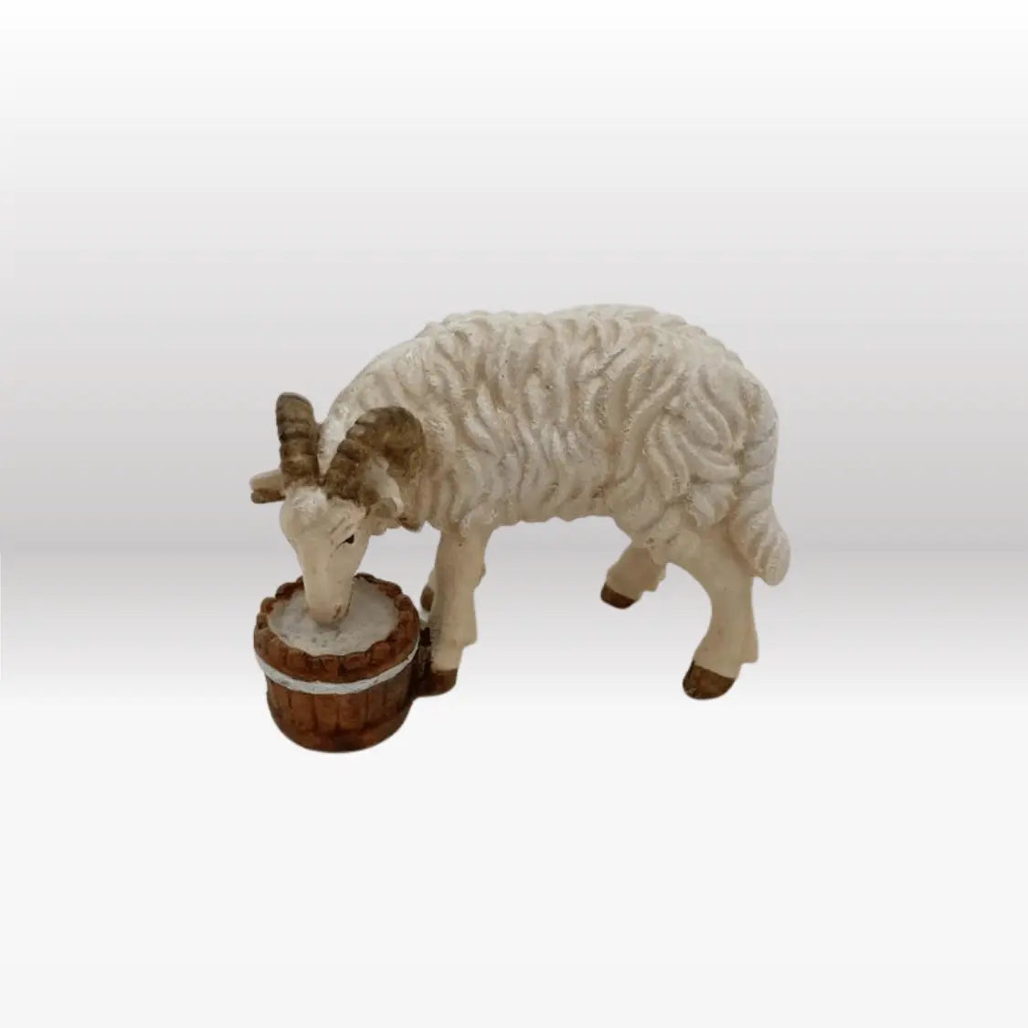 Widder mit Eimer von Kostner-1