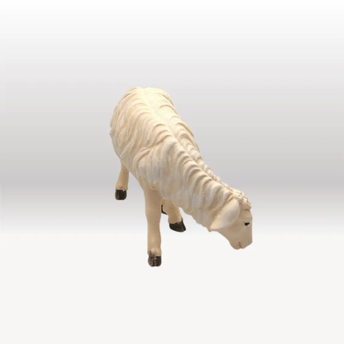 Schaf fressend linksschauend von Kostner-1