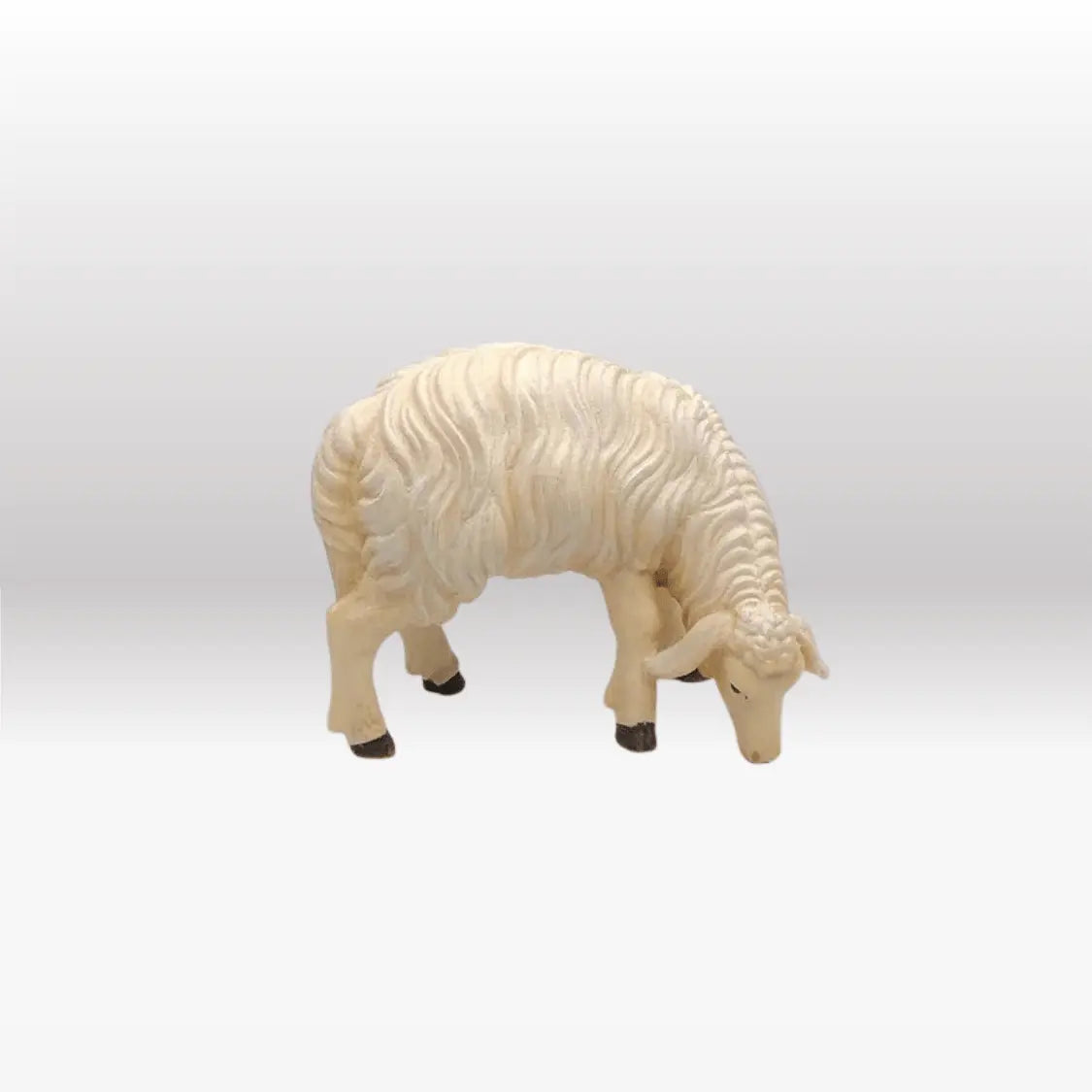 Schaf fressend rechtsschauend von Kostner-2