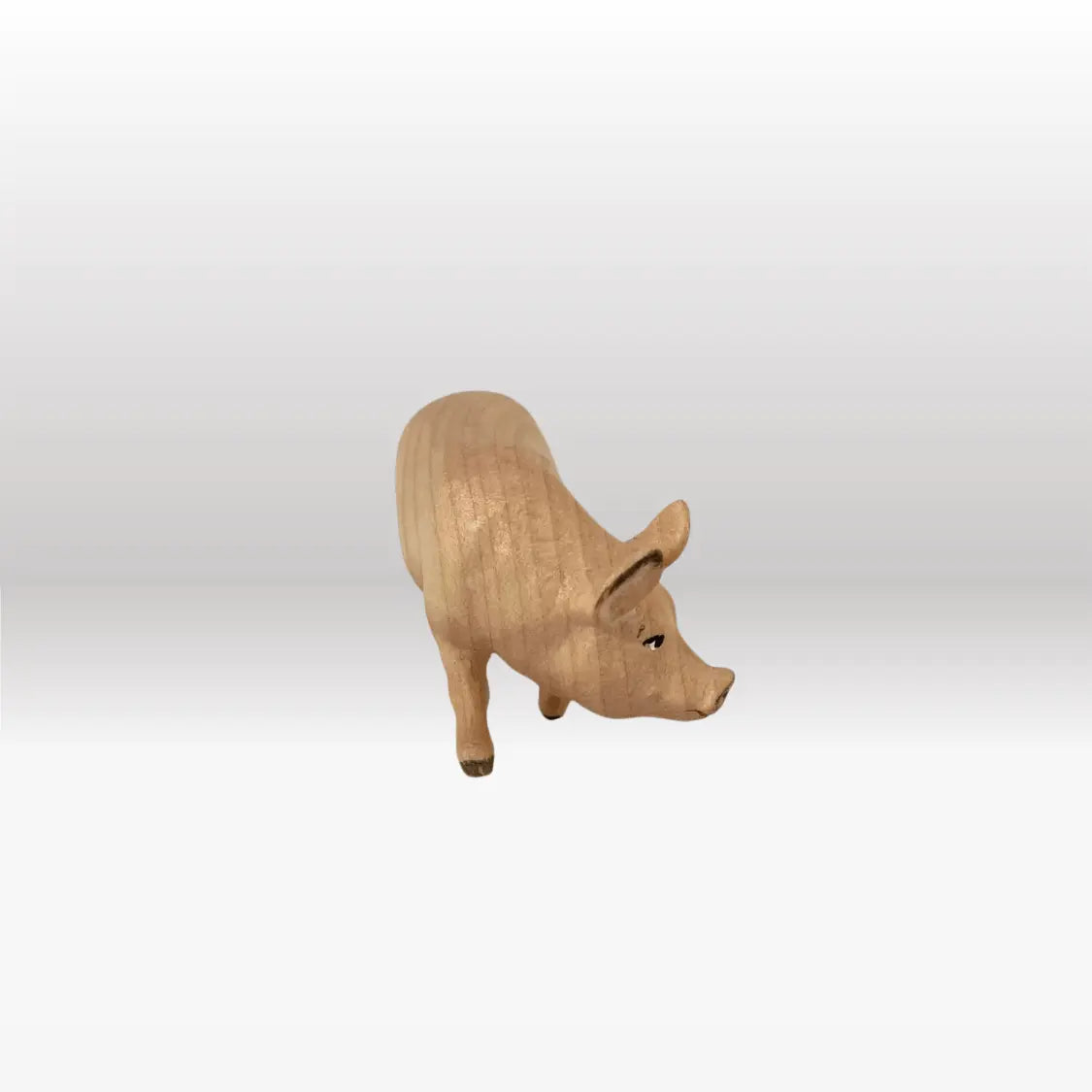 Schwein von Kostner-2